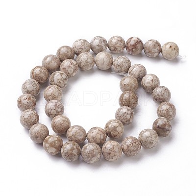 Natural Fossil Coral Beads Strands G-F563-02-10mm-1
