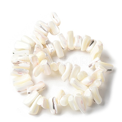 Dyed Natural Trochus Shell Beads Strands SSHEL-C013-09J-1