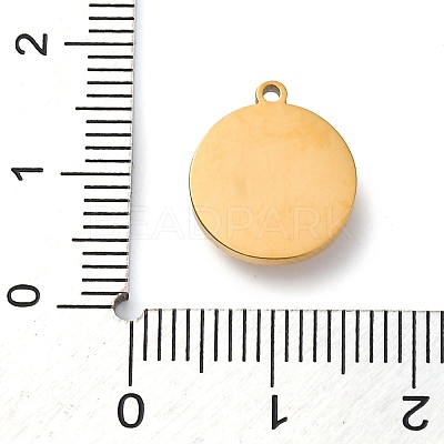 304 Stainless Steel Pendants STAS-M105-08G-1