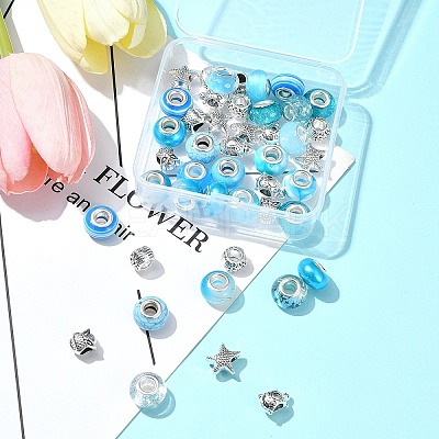 DIY Tibetan Style Alloy & Resin European Beads Making Finding Kits DIY-FS0006-78F-1
