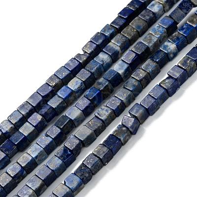 Natural Lapis Lazuli Beads Strands G-F631-K05-1