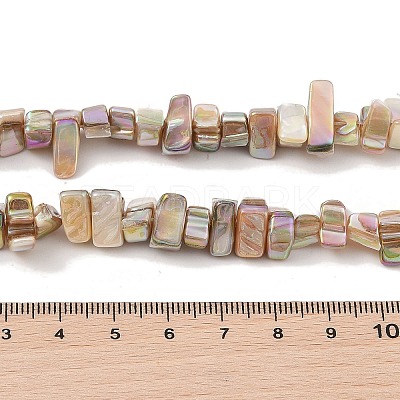 Natural Freshwater Shell Beads Strands BSHE-H018-07A-1