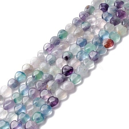 Natural Fluorite Beads Strands G-B022-06A-1