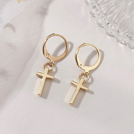 304 Stainless Steel Leverback Earrings EJEW-JE06885-1