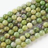 Natural Serpentine Beads Strands G-G767-04-8mm-1