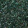 Glass Seed Beads X-SEED-S042-13A-18-3