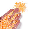 8/0 Glass Seed Beads SEED-A015-3mm-2202-4