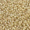 MIYUKI Round Rocailles Beads X-SEED-G007-RR0578-3