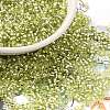 Glass Seed Beads SEED-S042-04B-24-1