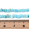 Natural Freshwater Shell Dyed Beads Strands SHEL-T020-29B-02-4