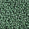 6/0 Glass Seed Beads SEED-A012-4mm-127-2