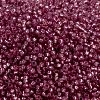 MIYUKI Round Rocailles Beads SEED-G009-RR0645-2