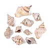 Electroplate Natural Sea Shell Big Pendants SSHEL-Q100-23KCG-1