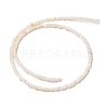 Natural Freshwater Shell Beads Strands SHEL-P017-01B-02-2