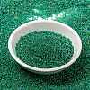 MIYUKI Round Rocailles Beads SEED-X0056-RR0354-2