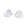 Transparent Acrylic Bead Caps TACR-Q273-04-3