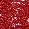 FGB 11/0 Grade A Glass Seed Beads X-SEED-S030-1016-2