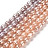 Natural Cultured Freshwater Pearl Beads Strands PEAR-E016-069-1