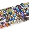 Dyed Natural Cultured Freshwater Pearl Beads Strands X-PEAR-R012-20-4