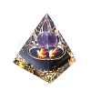 Natural Amethyst Display Decorations PW-WG92C3C-01-2