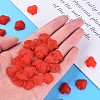Transparent Acrylic Beads MACR-S373-106-D01-5