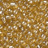 Glass Seed Beads SEED-A006-4mm-102-2