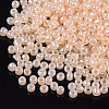 8/0 Glass Seed Beads X1-SEED-A011-3mm-147-3