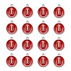 Platinum Plated Alloy Enamel Charms LS-ENAM-S118-03I-P-2