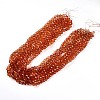 Baking Paint Transparent Glass Beads Strands DGLA-A035-T10mm-A04-2
