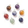 Natural Mixed Stone Charms PALLOY-JF01677-1