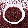 MIYUKI Delica Beads SEED-J020-DB0603-2