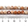 Dyed Natural Regalite/Imperial Jasper/Sea Sediment Jasper Beads Strands G-B124-C02-10-3