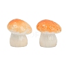 Mushroom Themes Resin Display Decorations DJEW-S002-01B-1