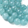 Dyed Natural Malaysia Jade Beads Strands G-G021-01D-08-3