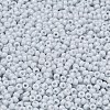 MIYUKI Round Rocailles Beads SEED-G007-RR0598-2
