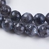 Natural Larvikite Beads Strands LS-G-G542-8mm-27-3