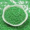 Baking Paint Glass Seed Beads SEED-S042-05A-28-2