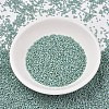 MIYUKI Delica Beads X-SEED-J020-DB2313-2