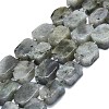 Natural Labradorite Beads Strands G-K245-J21-01-1