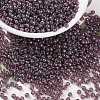MIYUKI Round Rocailles Beads SEED-JP0009-RR0302-1