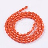 Opaque Solid Color Glass Beads Strands X-GLAA-A036-G05-2