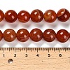 Dyed Natural Agate Beads Strands G-G203-10L-12mm-5