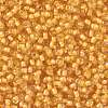 TOHO 8/0 Round Beads SEED-XTR08-0949-2