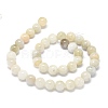 Natural Rainbow Moonstone Beads Strands G-O201A-17C-2