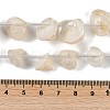 Natural Shell Beads Strands SHEL-K009-11-4