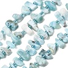 Natural Larimar Beads Strands G-L649-A08-01-2
