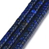 Natural Lapis Lazuli Bead Strands G-Z006-C13-1