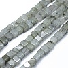 Natural Labradorite Beads Strands G-F631-C08-1