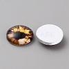 Glass Cabochons LS-GLAA-WH0033-75E-07-2