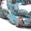 Natural Larimar Beads Strands X-G-L493-53-2